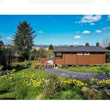 Cosy Cabin In Snowdonia With Views Wi-Fi Dog Friendly & Parking Trawsfynydd Eksteriør billede