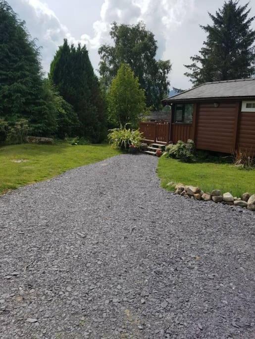 Cosy Cabin In Snowdonia With Views Wi-Fi Dog Friendly & Parking Trawsfynydd Eksteriør billede
