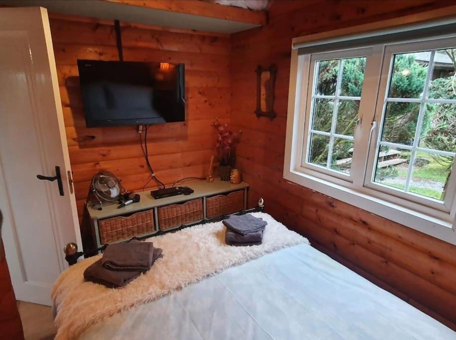 Cosy Cabin In Snowdonia With Views Wi-Fi Dog Friendly & Parking Trawsfynydd Eksteriør billede