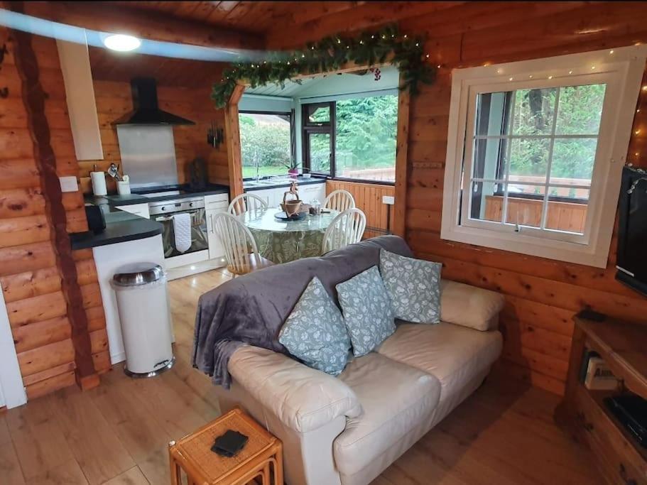 Cosy Cabin In Snowdonia With Views Wi-Fi Dog Friendly & Parking Trawsfynydd Eksteriør billede