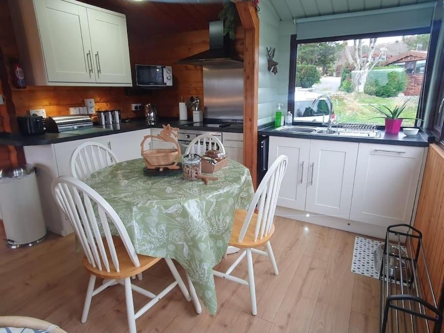 Cosy Cabin In Snowdonia With Views Wi-Fi Dog Friendly & Parking Trawsfynydd Eksteriør billede