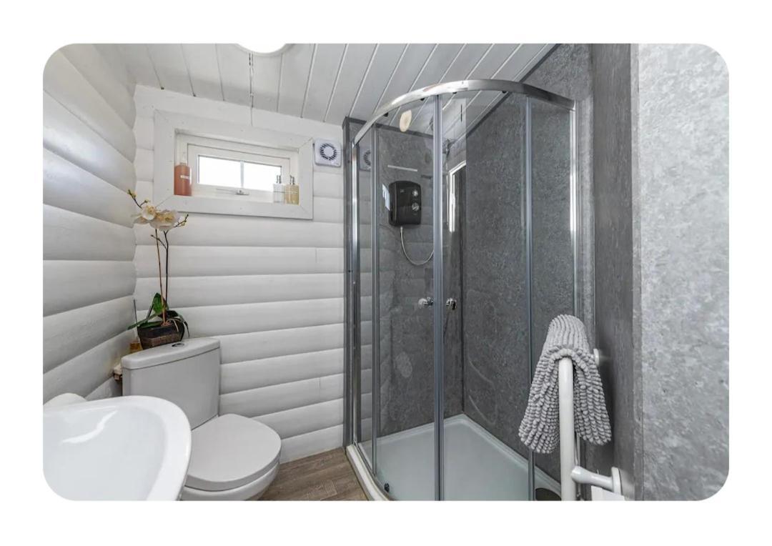 Cosy Cabin In Snowdonia With Views Wi-Fi Dog Friendly & Parking Trawsfynydd Eksteriør billede