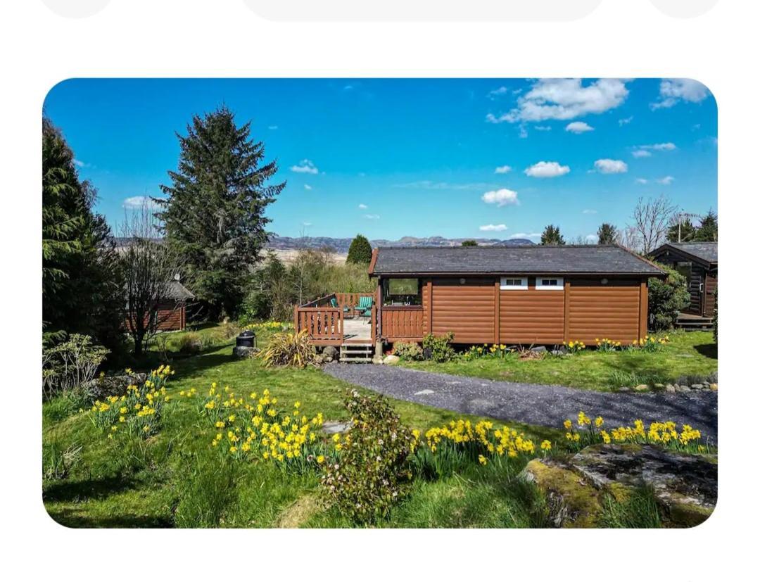 Cosy Cabin In Snowdonia With Views Wi-Fi Dog Friendly & Parking Trawsfynydd Eksteriør billede
