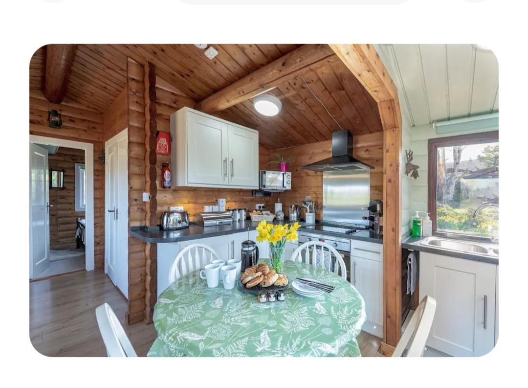 Cosy Cabin In Snowdonia With Views Wi-Fi Dog Friendly & Parking Trawsfynydd Eksteriør billede