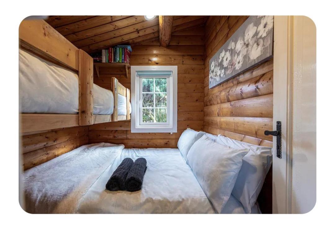 Cosy Cabin In Snowdonia With Views Wi-Fi Dog Friendly & Parking Trawsfynydd Eksteriør billede